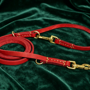Hands-Free Genuine Leather Dog Leash (Multi-functional Training)