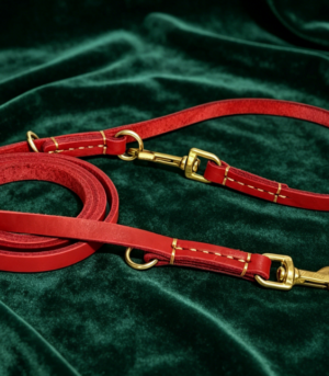 Hands-Free Genuine Leather Dog Leash (Multi-functional Training)