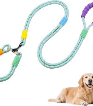 Hands-Free Leash for Large Dogs (Heavy-Duty Nylon, Reflective Design)