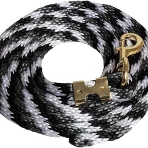 Polyester Leash (with Spring Snap)
