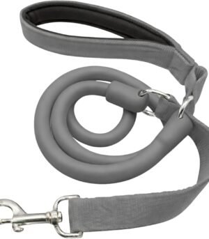 Shock-Absorbing Anti-Jerk Leash (Anti-Tangle, for Large Dogs)