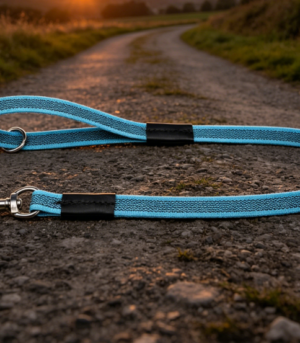 Lightweight, Slim Nylon Pet Leash – For Everyday Walks