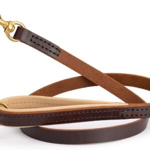Full-Grain Leather Dog Leash (Padded Handle, Brass Snap Hook)