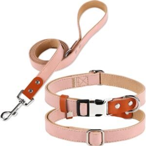 PU Leather Dog Collar and Leash Set (Adjustable, Suitable for Various Breeds)