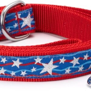 Stars and Stripes Pattern Nylon Leash (Large, Adjustable)