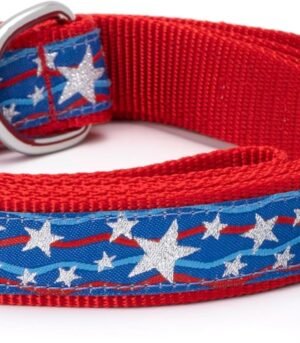 Stars and Stripes Pattern Nylon Leash (Large, Adjustable)