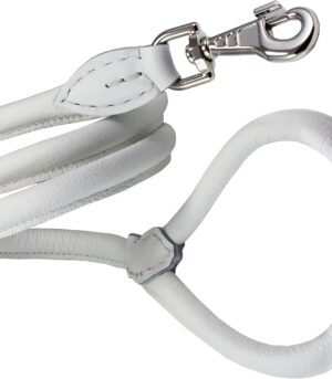 Round Rolled Leather Dog Leash