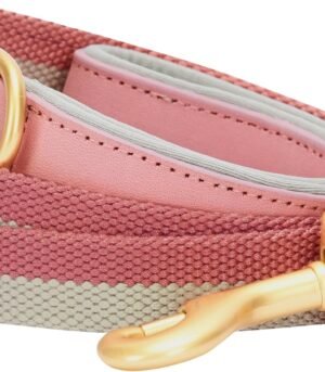 Polyester Webbing & Genuine Leather Hybrid Dog Leash (Pink-Grey Colorway)