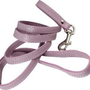 Genuine Leather Dog Leash for Small Dogs