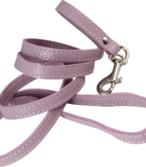 Genuine Leather Dog Leash for Small Dogs